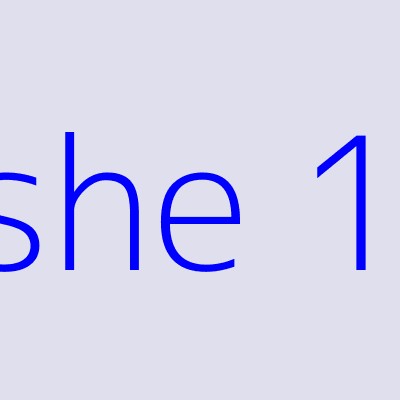 she banner 1